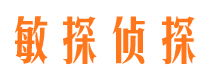 新平侦探公司